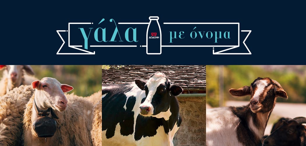 ΔΩΔΩΝΗ: Παγκόσμια μέρα γάλακτος με στόχο τον 1 τόνο γάλα για την Κιβωτό του Κόσμου