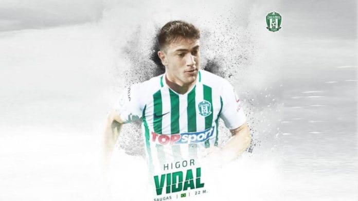 vidal-vilniaus zalgiris