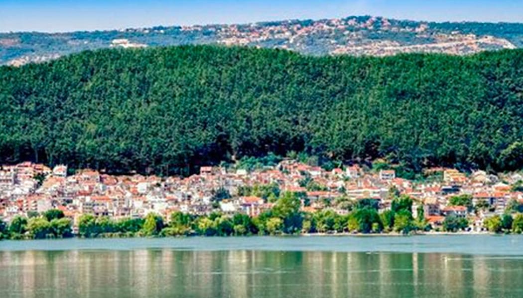 Παρέμβαση Χατζηδάκη ζητεί η Μ. Κεφάλα για τη διάσωση του περιαστικού δάσους Ιωαννίνων