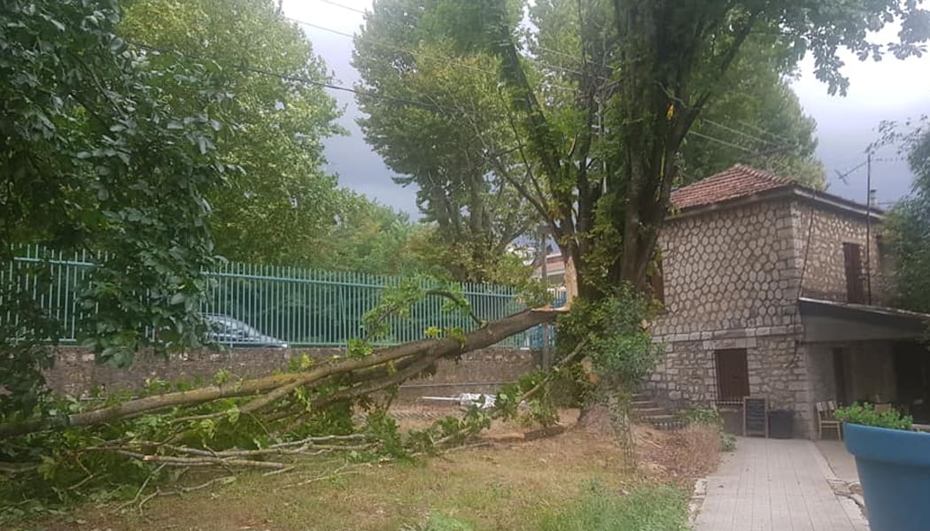 Έπεσε κλαδί δέντρου δίπλα στο κυλικείο της Λιμνοπούλας!
