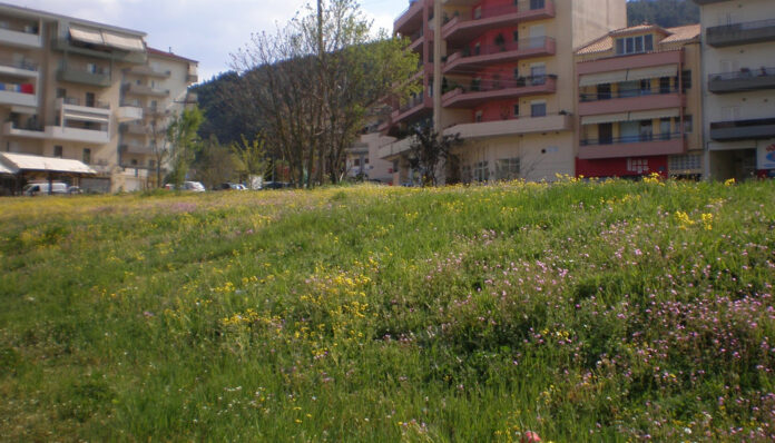plateia-xatzh