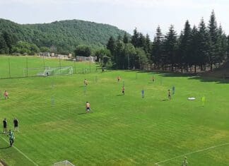 Κανονικά στις προπονήσεις ο Περέα