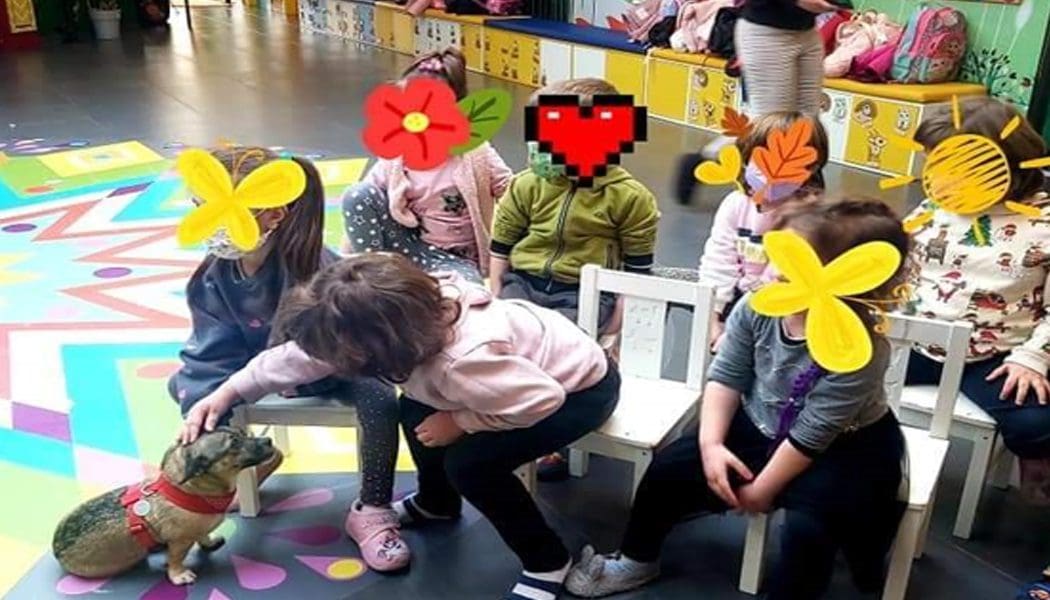 Δράσεις ευαισθητοποίησης για τα αδέσποτα στα σχολεία της πόλης