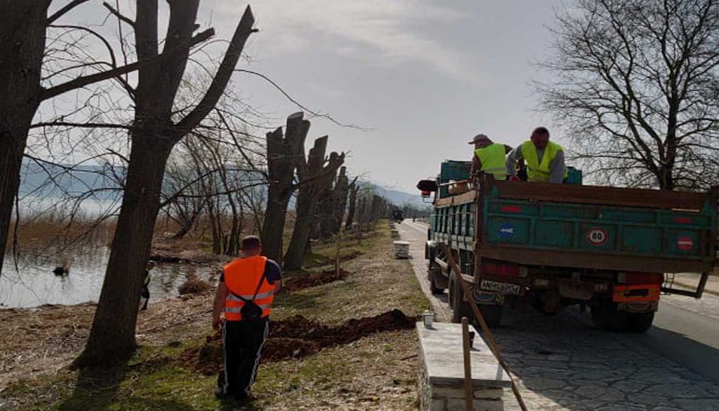 Δενδροφύτευση στην παραλίμνια περιοχή των Ιωαννίνων