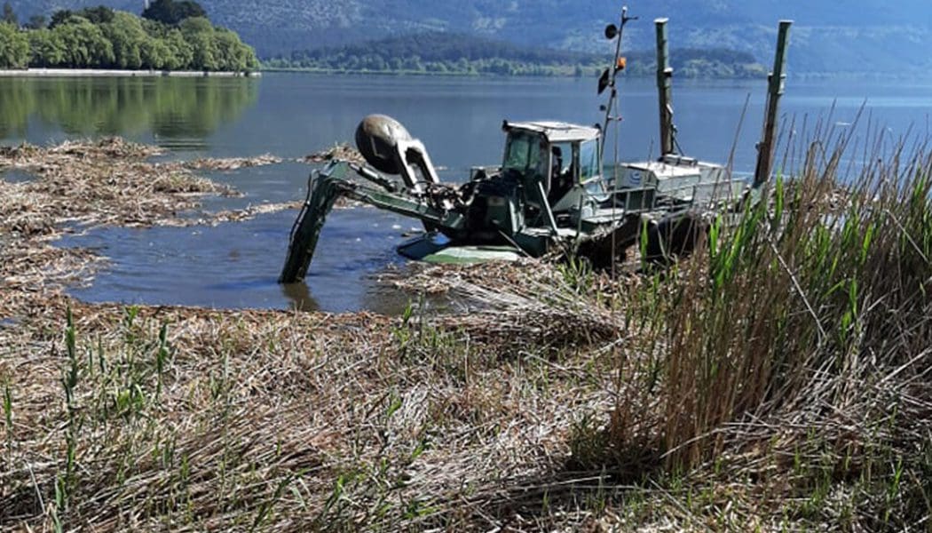 Αμφίβια μηχανήματα για κοπή καλαμιών στη Λίμνη Παμβώτιδα και το Δέλτα Έβρου