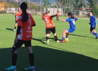 Β’ Εθνική γυναικών: Δυνατοί αντίπαλοι για τα Γιάννενα WFC και τις Τίγρεις