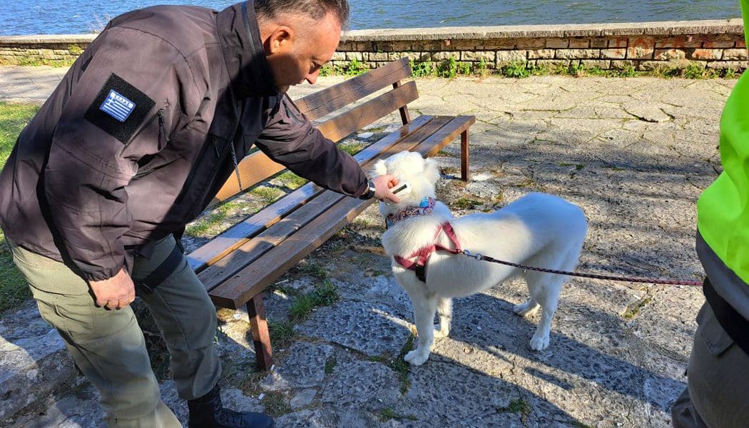 Έλεγχοι τσιπ στα δεσποζόμενα ζώα από τη Δημοτική Αστυνομία Ιωαννίνων
