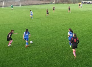 Γ’ Εθνική: Άνετη επικράτηση του ΠΑΣ Γιάννινα WFT επί του ΠΑΣ Φλώρινας