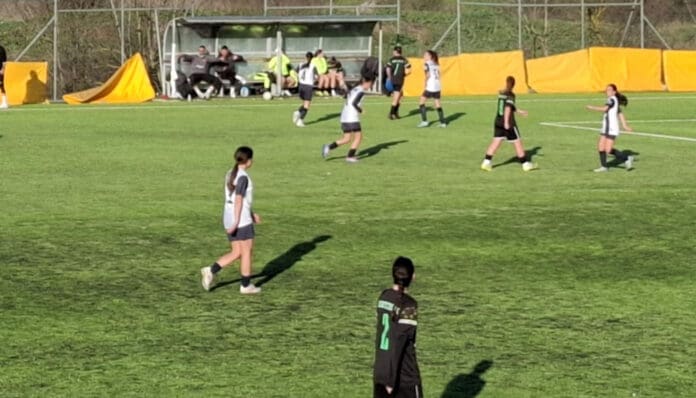 pas-wft-skioyroi-2025-1