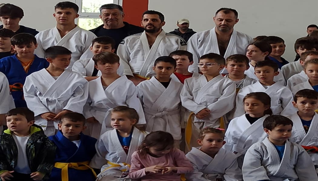 Επιτυχημένο το φεστιβάλ Τζούντο Αναπτυξιακών Ηλικιών και Ατόμων με Αναπηρίες στο Καλπάκι