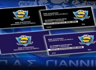 Στη διάθεση των φιλάθλων οι κάρτες διαρκείας του τμήματος βόλεϊ γυναικών του ΠΑΣ Γιάννινα