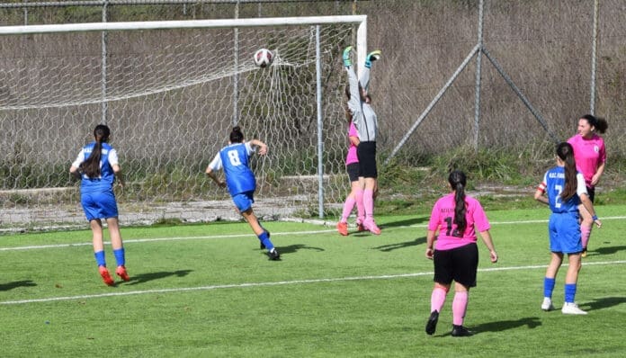 apeirotan-pas-wft-2025-3