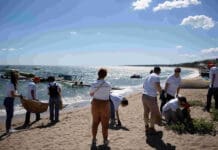 ΔΕΗ – project PARALIES: Συνεργασία για τον καθαρισμό και την προστασία των ελληνικών παραλιών για 4η χρονιά