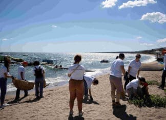 ΔΕΗ – project PARALIES: Συνεργασία για τον καθαρισμό και την προστασία των ελληνικών παραλιών για 4η χρονιά