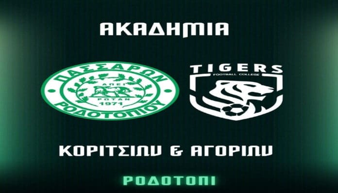rodotopi-tigers