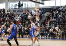 Ξεκινάει «διαβολοβδομάδα» με 3 ματς σε 7 μέρες για τους Vikos Φalcons