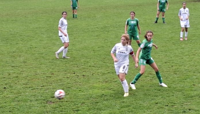 tigers-pao-koilon-2025-1