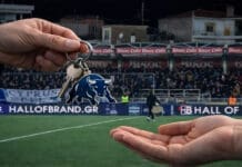 Παραδίδει τα κλειδιά ο Σιόντης και αποχωρεί από τον ΠΑΣ Γιάννινα!