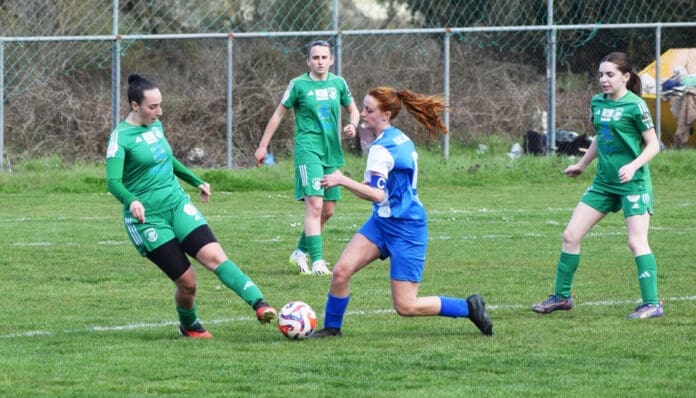 tigers-pas-wft-2026-2