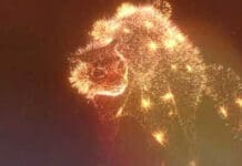 Σύσταση για μη χρήση πυροτεχνημάτων που στρεσάρουν τα ζώα κατά τις εορτές του Πάσχα