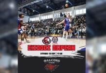 Δωρεάν είσοδος στο κρίσιμο ματς των Vikos Φalcons με το Λαύριο